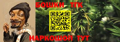 сатива Ярославль