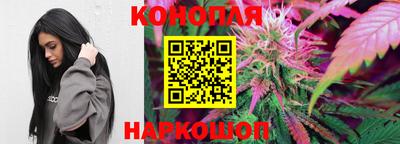 сатива Ярославль