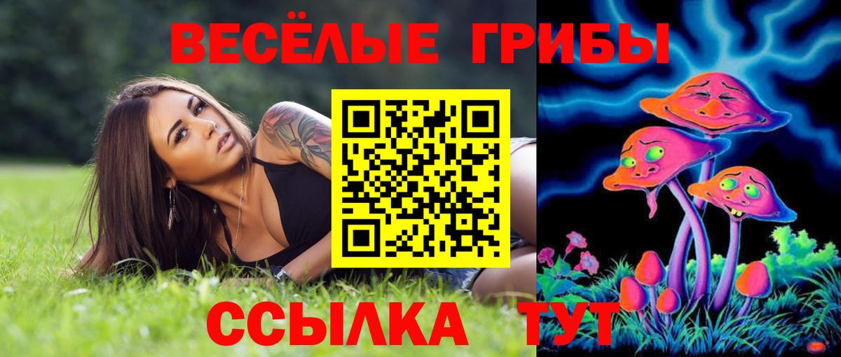 Псилоцибиновые грибы мицелий  Острогожск  Псилоцибиновые грибы MAGIC MUSHROOMS 