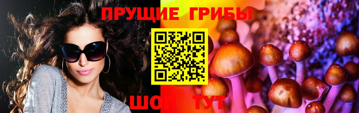 сколько стоит  Вход с VPN  Псилоцибиновые грибы GOLDEN TEACHER  Острогожск  Галлюциногенные грибы Magic Shrooms 